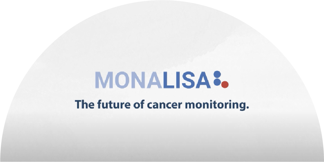 Novidades sobre o projeto MONALISA