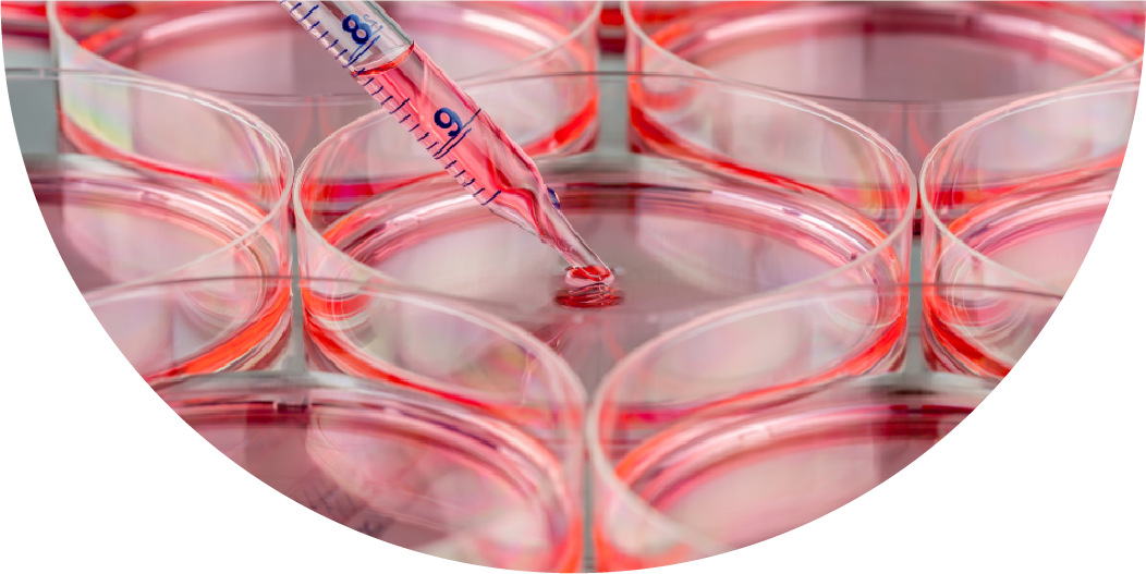 Portugal avança na produção de terapias com células CAR-T para aumentar o acesso a tratamentos inovadores